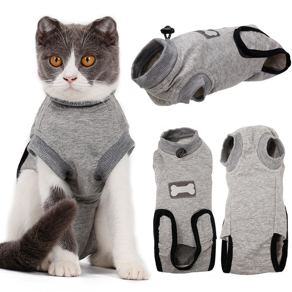 Body post-opératoire pour chats