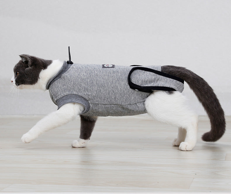 Body post-opératoire pour chats