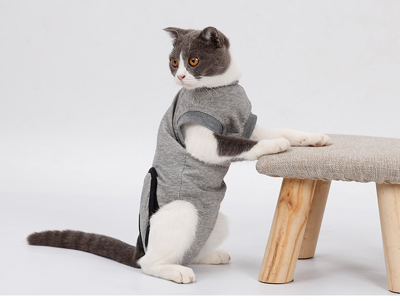 Body post-opératoire pour chats