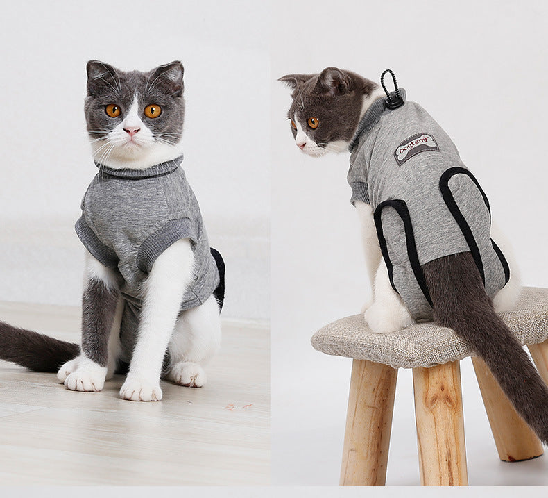 Body post-opératoire pour chats