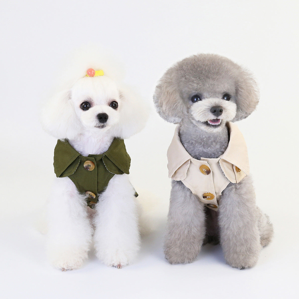 Trench pour chiens et chats