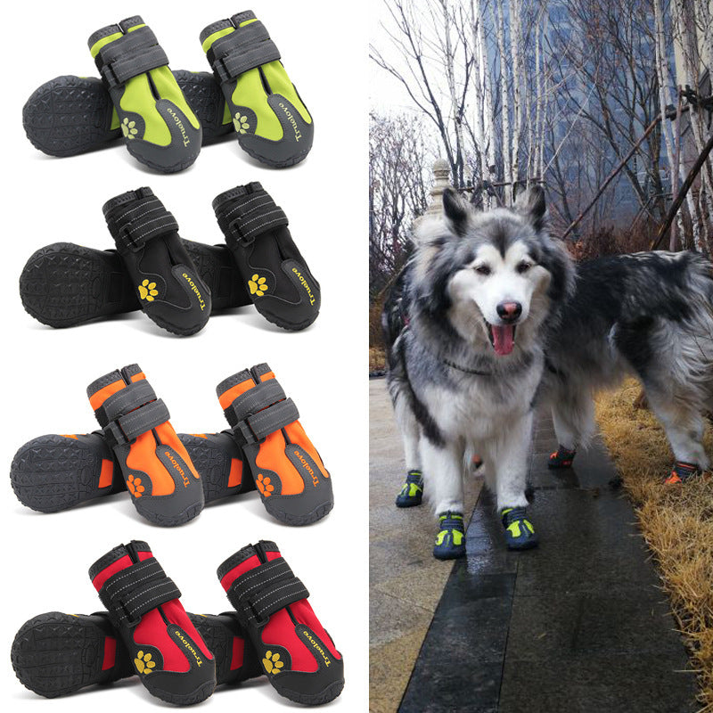 Chaussure antidérapantes pour chien
