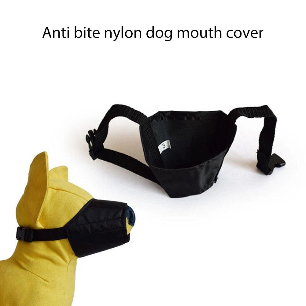 Muselière pour chien