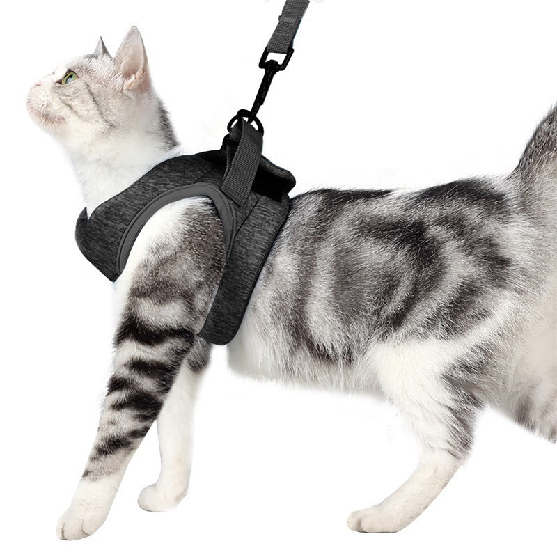Harnais pour chat