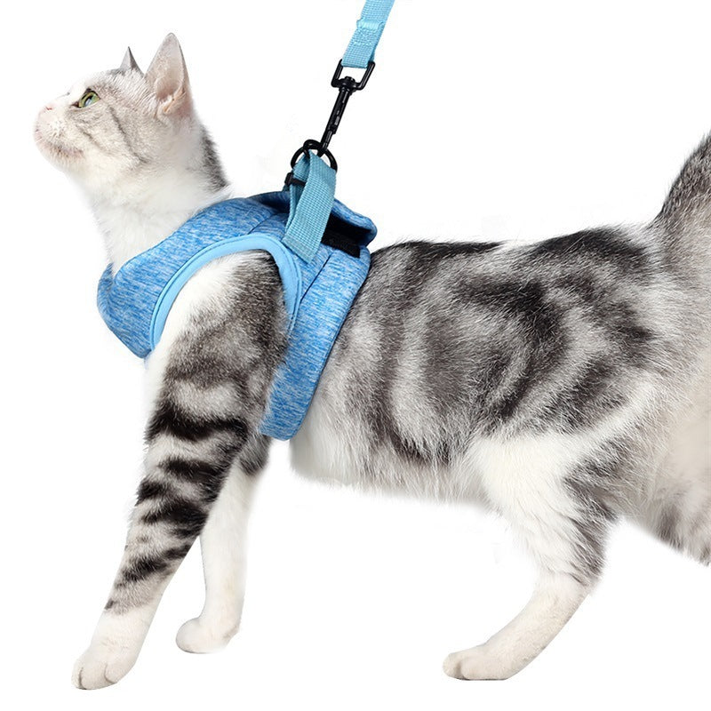 Harnais pour chat