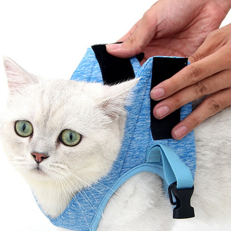 Harnais pour chat