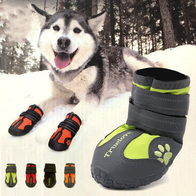 Chaussure antidérapantes pour chien