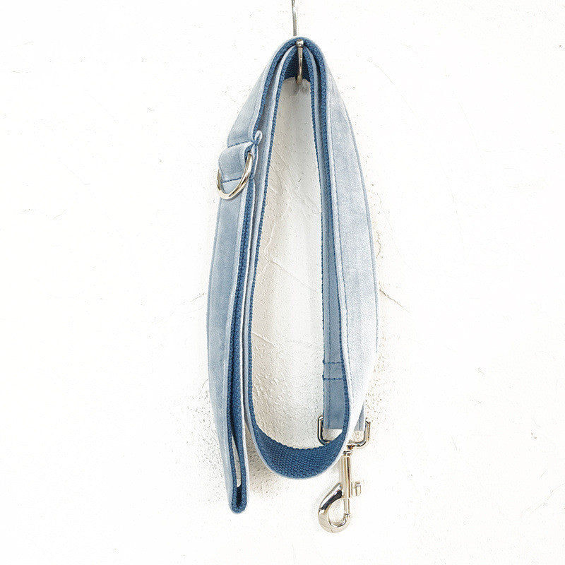 Collier pour chiens et chats