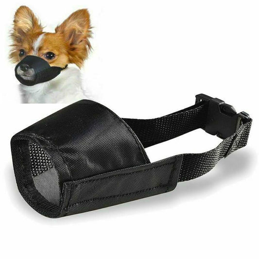 Muselière pour chien