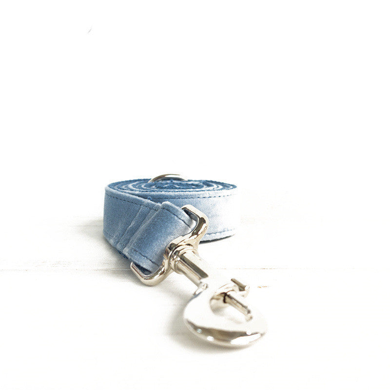 Collier pour chiens et chats