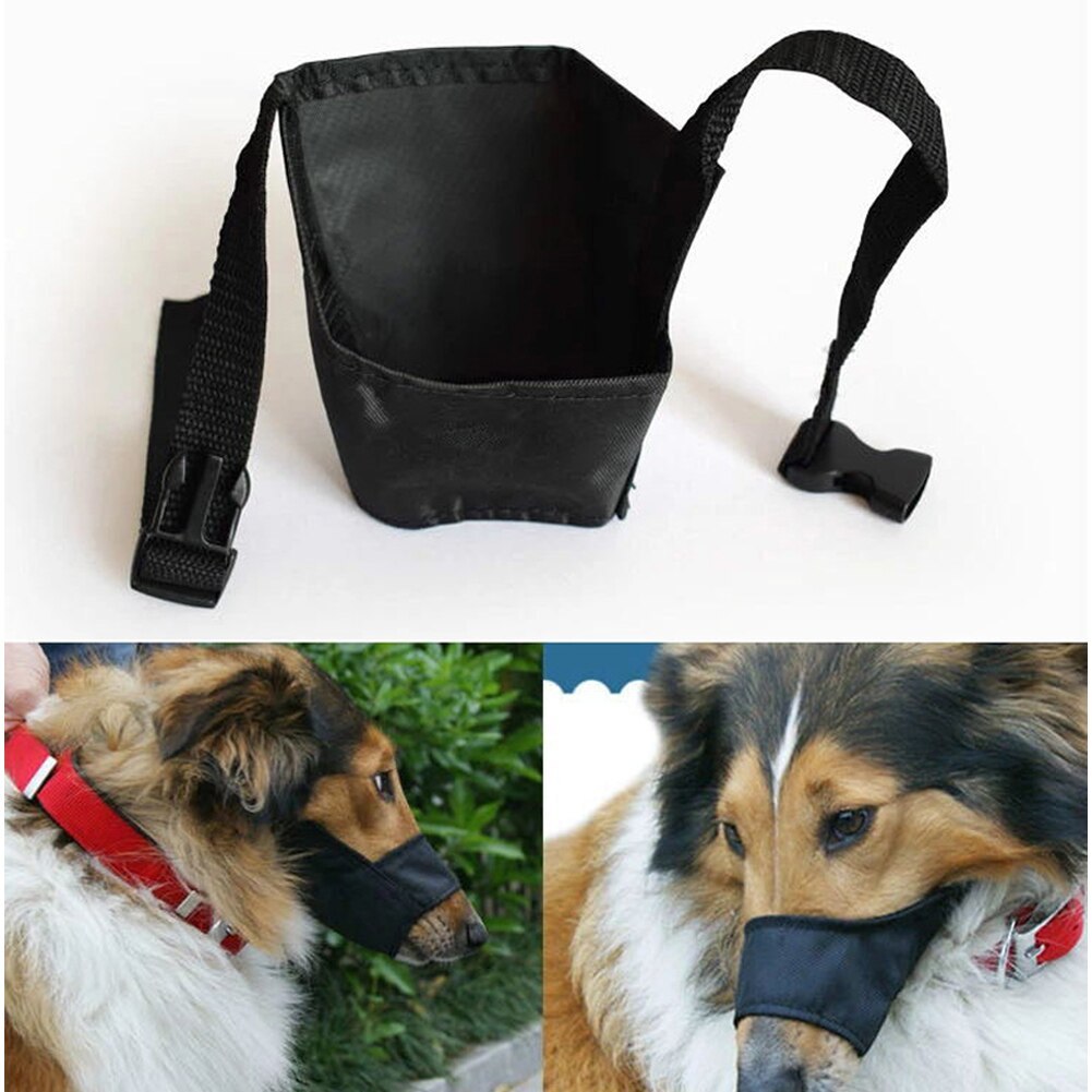 Muselière pour chien