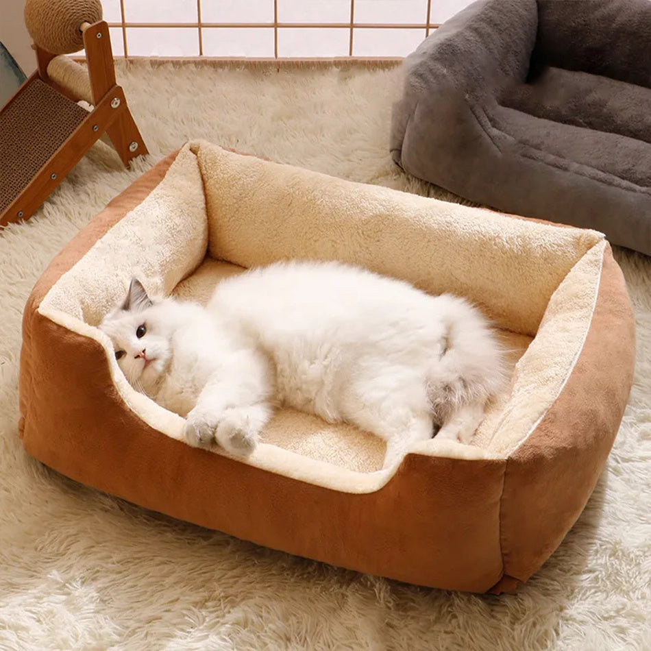Coussin pour chien et chat