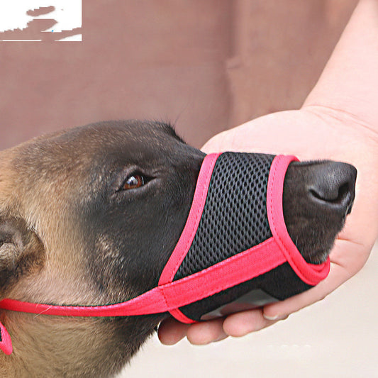Muselière pour chien